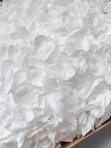 10/50/100g Freeze Dried Rose Petals, Ivory, REAL Rose Petals, Perfectly Preserved. And - White - View 4