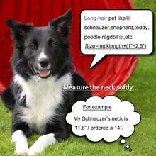 可调节宠物项链，奢华宠物项圈，嘻哈时尚链设计，镶嵌立方氧化锆吊坠，适合中小型犬日常佩戴。 - 彩色 - 查看 5