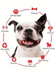 编织绳环狗狗磨牙玩具 – 中大型犬互动磨牙玩具，黄色 - 彩色 - 查看 6