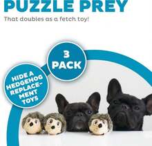 Outward Hound Squeakin' Hedgiez Plush Replacement Dog Toys - 3 Pack - Màu E - Xem 1