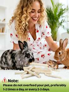 100g Sweet Bamboo Chew Sticks | Small Animal Chew Treats And Toys, Suitable For Rabbits, Chinchillas, Guinea Pigs, Squirrels And Hamsters - View 3