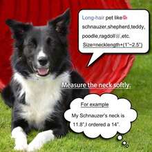 Adjustable Pet Necklace, Versatile Luxury Pet Collar, Hip-Hop Cuban Link Design With Small Dollar Pendant, Fashionable For Small, Medium And Large Dogs - Multicolor - View 4