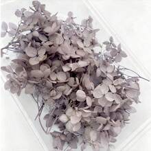 Hydrangea Dried Flower DIY Wreath, Suitable As Handmade Gift - Dried Hydrangea Petals - View 18