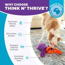 Outward Hound By Nina Ottosson Silly Legz Interactive Plush Dog Puzzle Dog Enrichment Toys, Plush, Floppy, Long, Giraffe, Purple - ColorC - 查看 6