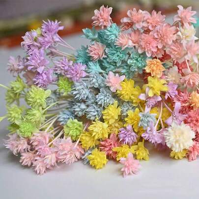 50/100pcs Natural Dried Tiny Flowers, Mini Dried Flower Bouquet, Suitable For Wedding Floral Arrangement, Home Decor, Valentine's Day Gift, DIY Preserved Flower Ring, Boutonniere, Envelope Decoration, Resin Crafts, Glass Dome With Flowers, Dried Flower Photo Frame, Wishing Bottle And Other Home Decor Accessories