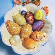 7-Style Box Of Cowrie Shell Beads - Seashell Shells For DIY Jewelry Making, Ocean-Themed Christmas Ornaments, Wind Chime Charms, Scrapbooking Embellishments & Nautical Craft Kits (Bracelet & Necklace Beads) - 7 Styles - View 11