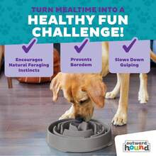 Outward Hound Fun Feeder Slo Bowl \U2013 Large 4\U2011Cup Capacity, Slow Feeding, Medium To Large Dogs, Non\U2011Slip, Gray, Drop Pattern (Pack Of 6) - ColorB - View 5