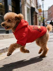 Red Little Star Print Pet Clothes, Festive Pet Apparel For Teddy And Small/Medium Dogs - Red - View 6