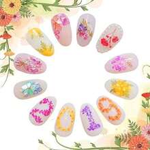 KINGMAS 12 Colors Dried Flowers For Nail Art, 1 Box Dry Flowers Mini Real Natural Flowers Nail Art Supplies 3D Applique Nail Decoration Sticker Decor (A) - A(12色/盒) - 查看 7