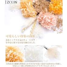 [] 8色展開 成人式 髪飾り ドライフラワー ダリア 造花飾り 和玉 網型シム 赤 白 ヘアアクセサリー ゴールド 水引 振袖 着物 卒業式 七五三 浴衣 袴 結婚式 かすみ草 和装 造花 金箔シート 組纽 手作り 専用ケース付き A2701ファッション - 写真の通り - チェックする 5