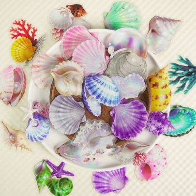 56 Pcs Transparent PET Seashell Stickers - New Exquisite Waterproof Decals For Journals & Water Bottles