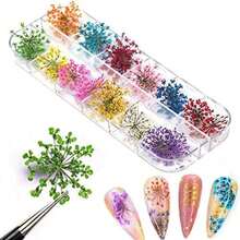 KINGMAS 12 Colors Dried Flowers For Nail Art, 1 Box Dry Flowers Mini Real Natural Flowers Nail Art Supplies 3D Applique Nail Decoration Sticker Decor (A) - A(12色/盒) - 查看 2