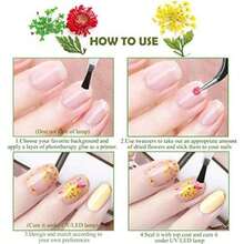 KINGMAS 12 Colors Dried Flowers For Nail Art, 1 Box Dry Flowers Mini Real Natural Flowers Nail Art Supplies 3D Applique Nail Decoration Sticker Decor (A) - A(12色/盒) - 查看 6
