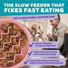 Outward Hound Fun Feeder Slo Bowl, Small Slow Feeder Dog Bowl, 3/4 Cups, Mini, Pink (Pack Of 12) - ColorE - 查看 3