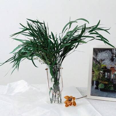 50/100克保鲜桉树叶，满天星，桉树叶，适用于家居插花、花束装饰、花店用品、婚礼场地装饰、派对及活动装饰、情人节、圣诞节、母亲节礼物、花艺设计