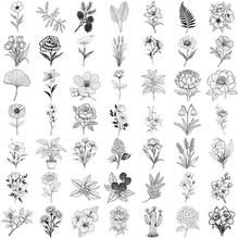 50 Pcs Monochrome Cartoon Plant Stickers - Transparent PET Decals For Phones, Water Bottles, Luggage, Laptops & DIY Crafts - 50PCS - View 12