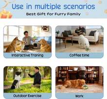 BoYoYo Interactive Dog Puzzle Toy For Smart, Dog Enrichment Toys To Keep Them Busy, Cognitive Dogs Toy To Stimulate Their Brain, Dog'S Treat Dispensing Toys With Slow Feeder, Durable And Easy To Clean - MàuB - Xem 5