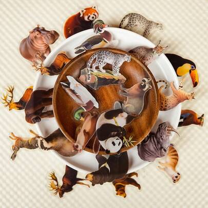 56 Pcs New Realistic Forest Animal Clear PET Stickers - HD Patterns For ' Handicrafts & Learning Cognition Activities