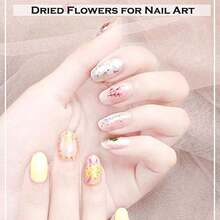 KINGMAS 12 Colors Dried Flowers For Nail Art, 1 Box Dry Flowers Mini Real Natural Flowers Nail Art Supplies 3D Applique Nail Decoration Sticker Decor (A) - A(12色/盒) - 查看 3