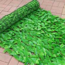 Muro Inglês 50 x 50 Jardim Vertical Artificial Ficus Painel Verde Decorativo - Muro verde - Visão 3