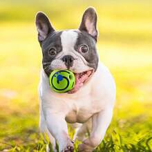 1个带吱吱声的宠物玩具球，狗狗滚动吱吱球，弹性自娱自乐咀嚼玩具，适合所有犬种 - 彩色 - 查看 9