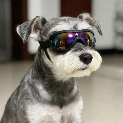 5kg-10kg Dog Fashionable Adjustable Colorful Sunglasses, High Quality Multi-Color Options, Windproof Protective Goggles, Suitable For Outdoor Activities Or Photography