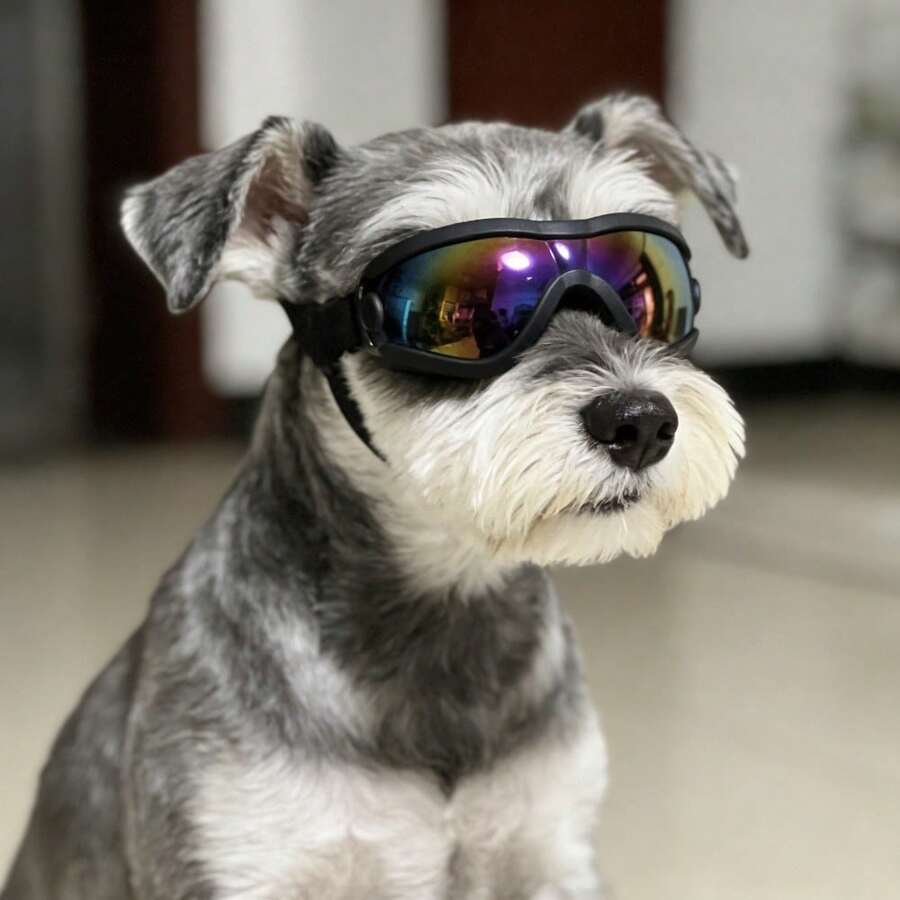 5kg-10kg Dog Fashionable Adjustable Colorful Sunglasses, High Quality Multi-Color Options, Windproof Protective Goggles, Suitable For Outdoor Activities Or Photography - Black - View 1