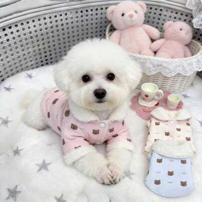 适合小型和中型犬猫的冬春季保暖服装：棉质毛衣、背心、舒适的羊毛套衫、蓬松的外套以及其他御寒保暖服装