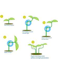 20个塑料园艺植物夹，红色植物栽培固定器，90度弯曲夹 - 多色 - 查看 10