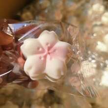 1个超柔软樱花麻糬捏捏乐减压玩具 - 生日、节日、圣诞节、万圣节的完美礼物 - 彩色 - 查看 6