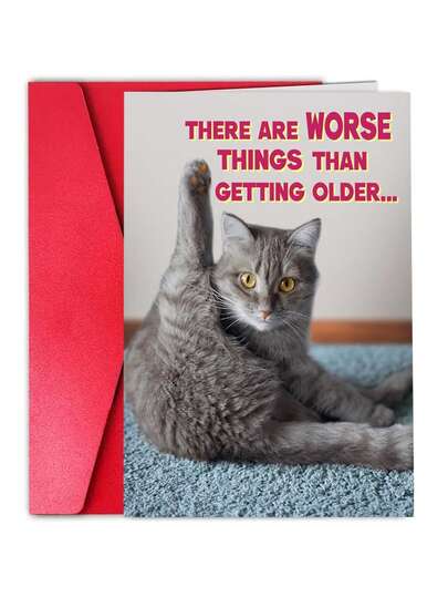 1pc Funny Birthday Cat Photo Card For Women, Sister, Girls, Mom, Friends, Dad, Brother And All Cat Lovers