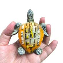 3.15 Inch Magnetic Fridge Magnet With Cape Map And Sea Turtle Design - one-size - View 6
