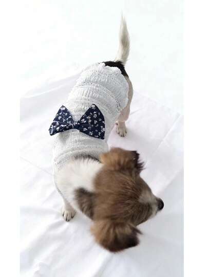 Dog Sweater, Warm & Elastic, Suitable For Spring & Autumn