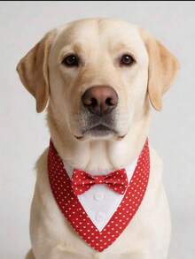Valentine Dog Tuxedo Bandana, Red Heart Pet Tux With Bowtie, Adjustable Valentine's Day Costume For Extra Small Medium Large Dogs Cats - Red - View 1