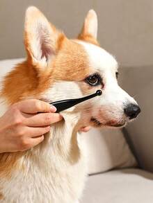 2支装宠物眼部清洁刷 - 柔软不刺激的刷毛，去除污渍和分泌物 - 适用于贵宾犬、博美犬和猫，无需电池 - 查看 10