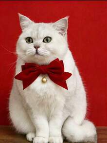 情人节宠物猫咪泰迪熊狗狗领结铃铛天鹅绒可调节仿真项圈，宠物猫狗生日新年天鹅绒大蝴蝶结铃铛可调节项链粉色领结项圈礼物，适合猫咪/狗狗 - 紅色 - 查看 8