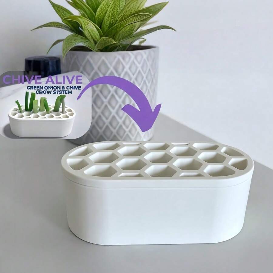 1套葱苗繁殖套装 - 无需任何技巧，轻松在家种植葱 | 适用于阳台、窗台及小空间 | 系统紧凑 | 葱苗快速再生 - 多色 - 查看 1
