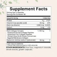 MicroIngredients Multi Collagen Pills For Women & Men, 240 Capsules | Type I, II, III, V, X | Hydrolyzed Peptides With Biotin, Hyaluronic Acid, & Fat Soluble Vitamin C Complex | Non-GMO, Filler Free Vitamins Supplements Chlorophyll Creatina Monohidratada Vitamins Probiotics For Women Protein Powder Quick Ship Items  Creatina Colageno - 240 Capsules - 查看 2