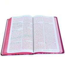 BIBLIA 1960 TAPA DURA ROSA LEON DE JUDA LETRA GRANDE 10.5P - Libro único - Ver 3