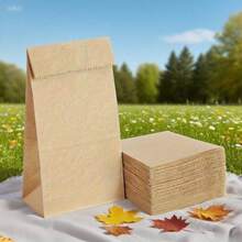 30/60个装优质简约牛皮纸袋，适用于生日、情人节、婚礼、派对礼物、礼品包装、活动赠品，可定制DIY包装袋 - 牛皮紙 - 查看 5