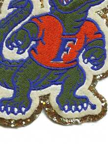 1 st University Of Patch med broderad guldfärgad maskotlogotyp - Multifärgad - Visa 6