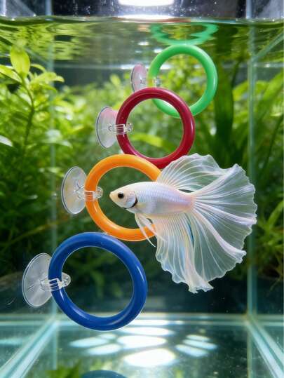 1/2 piezas Juego de anillos de entrenamiento de peces Betta de colores, anillos de entrenamiento interactivos con ventosa para el aleteo de la cola y las branquias de los peces Betta, adecuados para peces pequeños, decoración de acuario. Los colores son aleatorios.