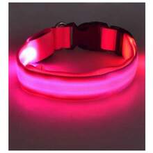 Collar Luminoso Led Para Perro Nocturna Color Aleatorio Usb Multicolor - Multicolor - Ver 8
