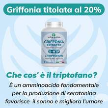 Vida Sana Integratore Griffonia 5-HTP Alto Dosaggio – Triptofano Naturale per Rilassamento, Benessere Mentale e Normale Tono dell'Umore – Serotonina Support Formula naturale – 200 Capsule - 200 Conteggio - Visualizzare 7