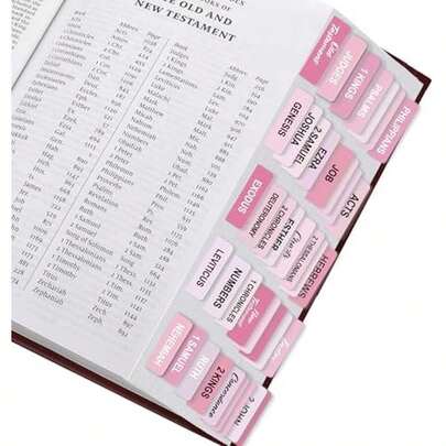 SKYDUE Bible Tabs: 100 Laminated Study Tabs For Women & Men, Pink