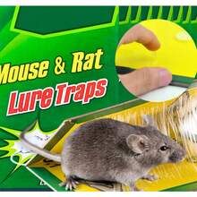 10 TRAMPAS PARA RATONES, RATAS, PEGAMENTO FUERTE, PEGAMENTO FUERTE, YESO CON SABOR, COMPRAR TRAMPA, Trampa pegajosa pequeña para insectos. - B - View 3
