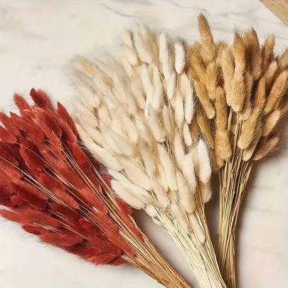 60/120/180/240pcs Natural Dried Flowers Decor, Natural Dried Rabbit Tail Grass, Dried Pampas Grass, Suitable For Home Decor, Wedding Decor, Party Decor, DIY Crafts, Photography Props, Theme Decor, Approx. 45cm Long