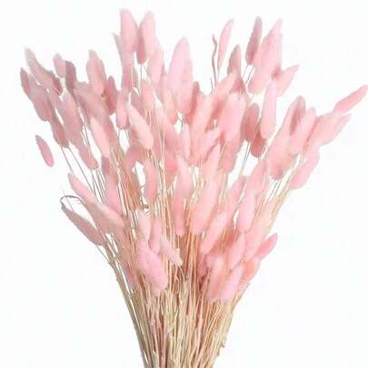60/120/180/240 Pcs Dried Natural Flowers Decoration, Natural Dried Rabbit Tail Grass Flowers, Dried Pampas Grass, Used For Home Decor, Wedding Decor, Party Decor, DIY Craft, Shooting Props, Theme Decoration, 17.7inch (White)