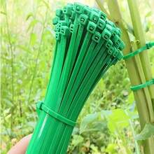 100根园艺捆扎带，包括拉链扎带、塑料薄膜扎带、植物固定带、便携式园艺电缆扎带，适用于园艺和草坪护理 - B - 查看 10