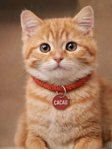 Adjustable Braided Rope Collar With ID Tag For Dogs And Cats - Red - View 3